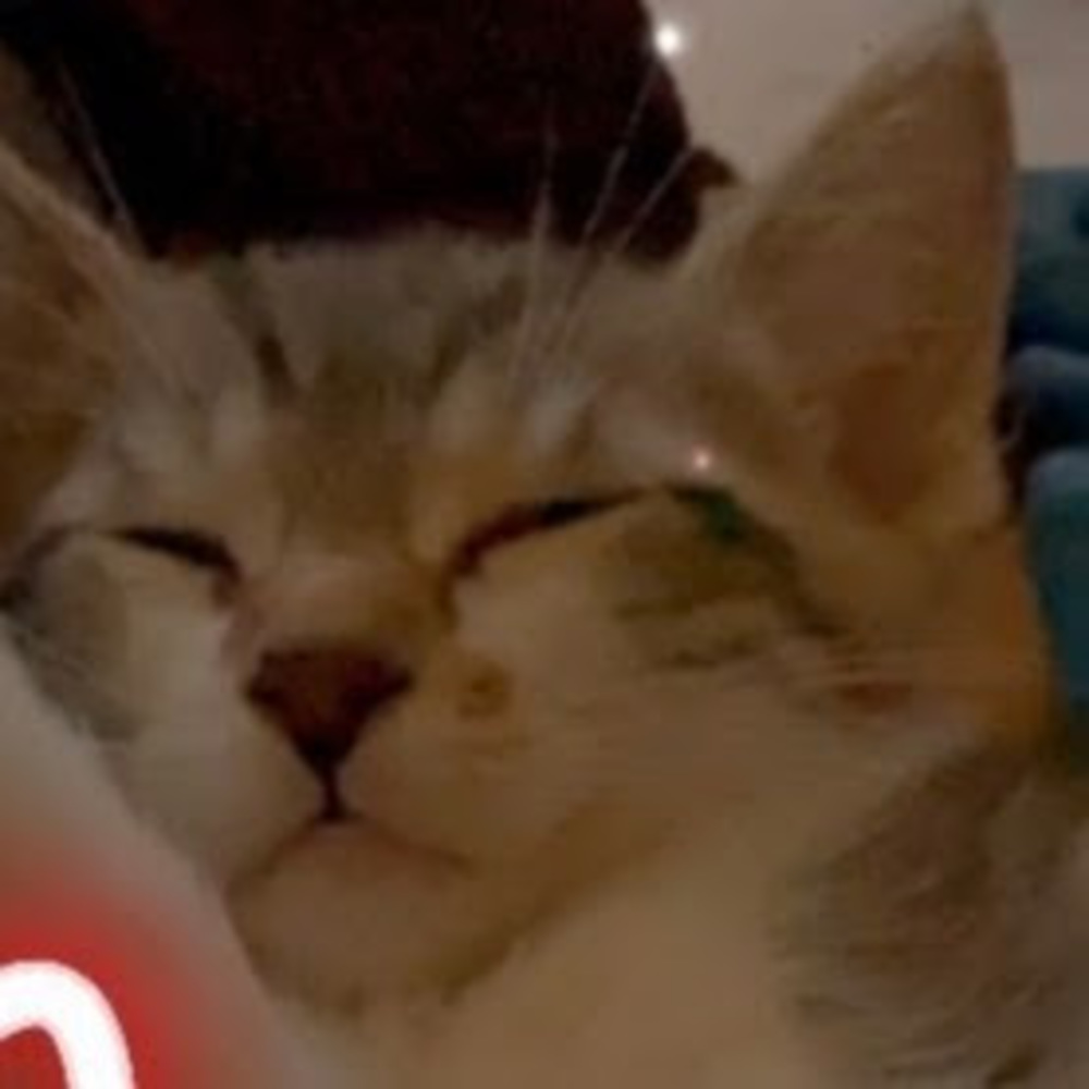 Meet your Posher, Marisol